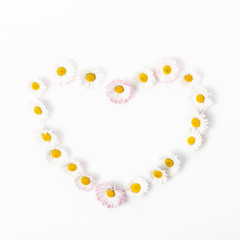 White daisies forming shape of a heart on white background