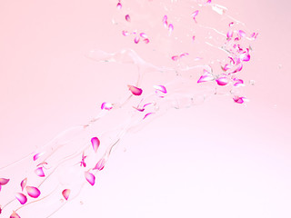 Many flower petals blown 3d