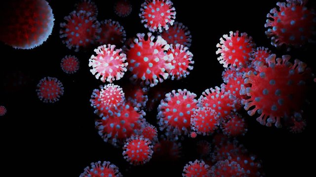 close-up coronavirus type covid-19, h1n1, bird flu or swine flu move smoothly in fluid 3d representation of virus as microbiological microscopic looped background. Red blue gradient 19