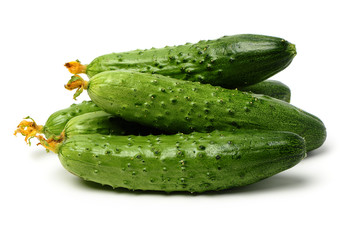 Green cucumber on the white background