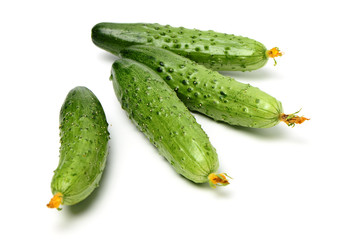Green cucumber on the white background