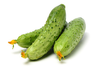 Green cucumber on the white background