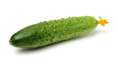 Green cucumber on the white background