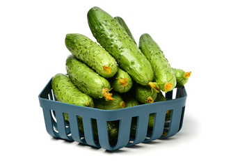 Green cucumber on the white background