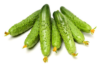 Green cucumber on the white background