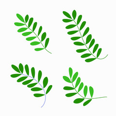Cute stylized green fern leaves set. Hand drawn simple flat leafy plants for the design of postcards, icons, logo. Stock vector illustration isolated on white background.