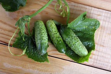 Cucumbers on table