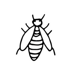 wasp hand drawn in doodle style. element scandinavian monochrome minimalism simple vector element. striped insect, spring, summer. design card, sticker poster, icon
