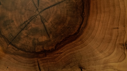 wood texture background