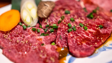 Delicious Fresh Raw Meat Dish