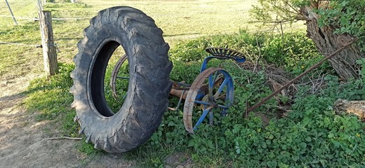 old tractor tire, wheel on the grass