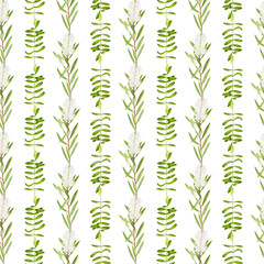 Watercolor tea tree leaves seamless pattern. Hand drawn illustration of Melaleuca. Green medicinal plant isolated on white background. Herb for cosmetics, package, textile, cards, decor, wallpaper.