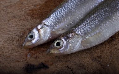 Smelt fish on cutting board