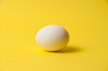 Chicken egg on a bright yellow background, copy space