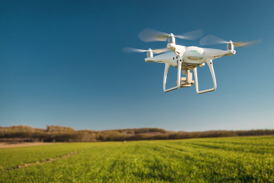 drone quad copter on green corn field