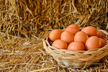 Basket of eggs on straw floor and wall
