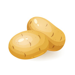 Cartoon fresh unpeeled potato, healthy food vector.