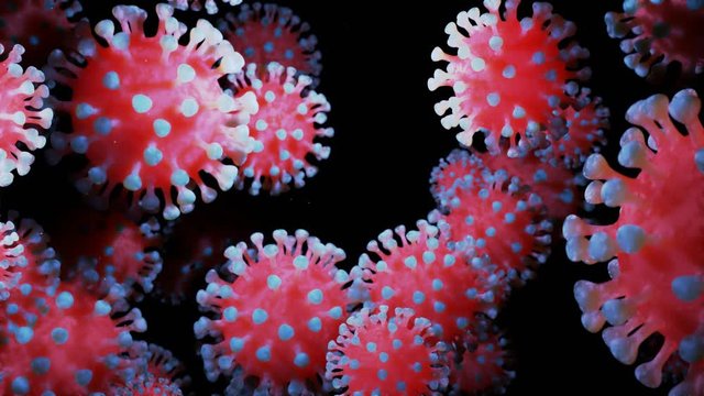 close-up coronavirus type covid-19, h1n1, bird flu or swine flu move smoothly in fluid 3d representation of virus as microbiological microscopic looped background. Red blue gradient 16