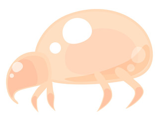 コナダニのイラスト_1匹