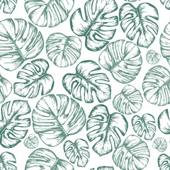 Fototapeta na wymiar Seamless pattern with hand dranw tropical leaves, vector illustratio