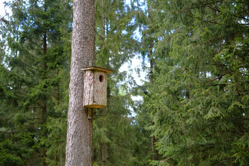 Nistkasten an einem Baumstamm