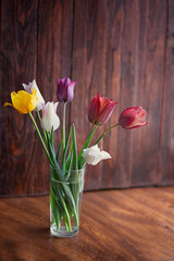 bouquet of seven multi-colored tulips in a glass cup on a wooden background

