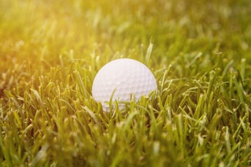 A action active calm compete country course