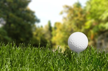 A action active calm compete country course