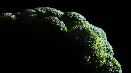 broccoli head on a dark background