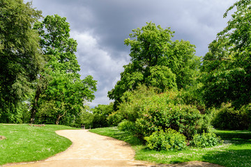 Empty leading path in a forest with old green trees and leaves in a summer day in Scotland, United Kingdom, beautiful outdoor natural background photographed with soft focus
