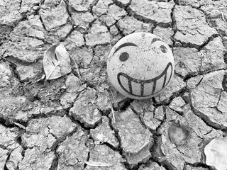 Top view shot of cracked dry soil with smiling ball and leaf