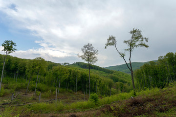 Obraz premium Cloudy sky over the Bukk mountains in Hungary