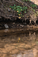 Colored Easter eggs on a light wooden table. Chicken eggs are painted for the Easter holiday.