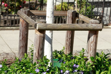 Baumschutz aus Holz mit B&auml;umen  in einer Wohnstra&szlig;e, Bremen, Deutschland, Europa