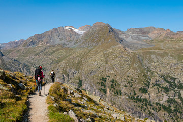 Fototapeta premium Trekking in the alps of Valle D'Aosta