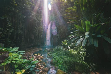  tropical diamond waterfall on caribbean island with sunlight, St. Lucia © Hello Bipo