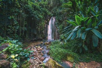 tropical diamond waterfall on caribbean island, St. Lucia - obrazy, fototapety, plakaty