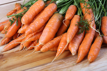Carrots on table. Harvest