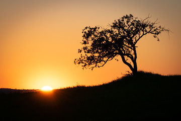 Fototapeta na wymiar Alentejo silhouette landscape summer sunset 