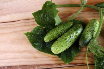 Cucumbers on table