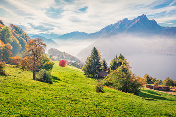 Exciting morning view of outskirts of  Stansstad town, Switzerland, Europe. Breathtaking autumn scene of  Lucerne lake. Attractive landscape of Swiss Alps. Traveling concept background.