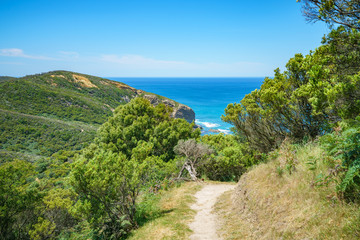 Fototapeta na wymiar hiking the great ocean walk to milanesia beach, coast of victoria, australia
