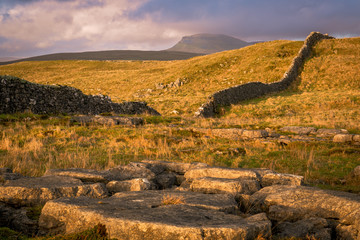 Winskill Stones is a nature reserve above the villages of Langcliffe and Stainforth in the Yorkshire Dales.