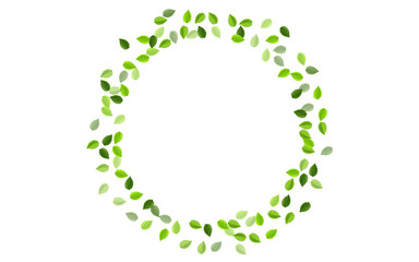 Olive Leaf Swirl Vector Concept. Wind Foliage 
