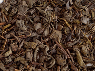 Green tea texture close up