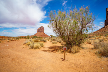 hiking the wildcat trail in the monument valley, usa