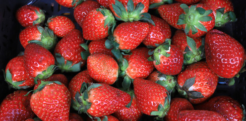 Fresh organic red strawberries as background. Strawberry pattern