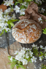 gluten-free homemade bread, healthy and wholesome food, spring cherry flowers or cherries on the table. comfortable home environment