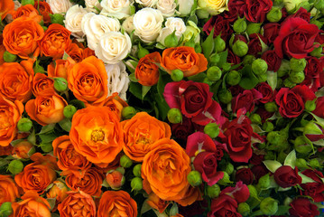 Big bunch of different sorts of roses in bouquet close up texture background 