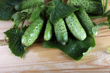 Cucumbers on table